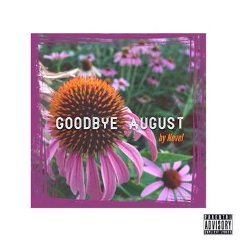 Novel - Goodbye August
