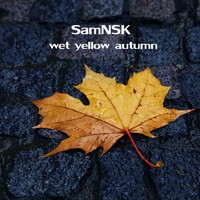 SamNSK - Wet Yellow Autumn