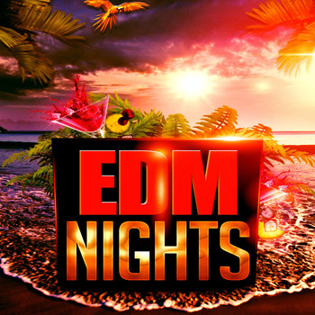 Various Artists - EDM Nights (Explicit)