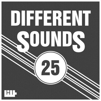 Various Artists - Different Sounds, Vol.25