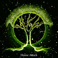 Owen Sound Attack - House Attack