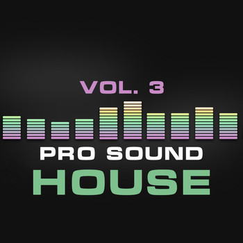 Various Artists - Pro Sound: House, Vol. 3