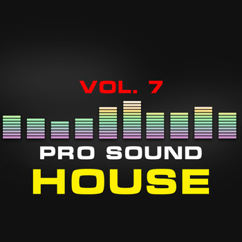 Various Artists - Pro Sound: House, Vol. 7