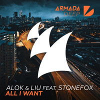 Alok & Liu feat. Stonefox - All I Want