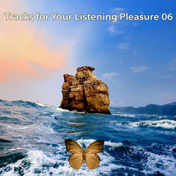 Various Artists - Tracks for Your Listening Pleasure 06