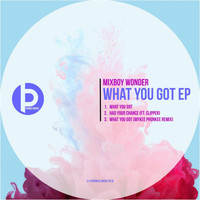 MixBoy Wonder - What You Got EP