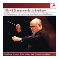 David Zinman - David Zinman Conducts Beethoven