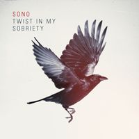 Sono - Twist In My Sobriety