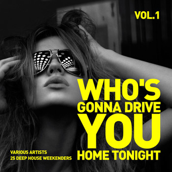 Various Artists - Who's Gonna Drive You Home Tonight (25 Deep-House Weekenders) Vol. 1