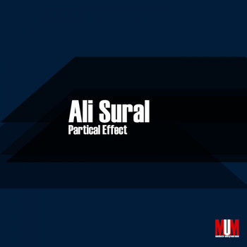 Ali Sural - Partical Effect