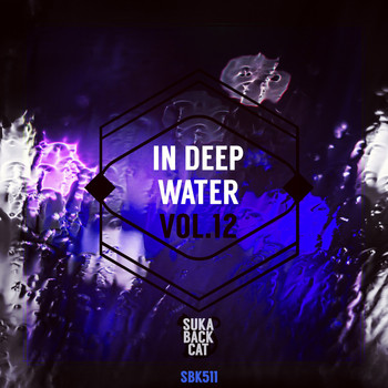 Various Artists - In Deep Water, Vol. 12