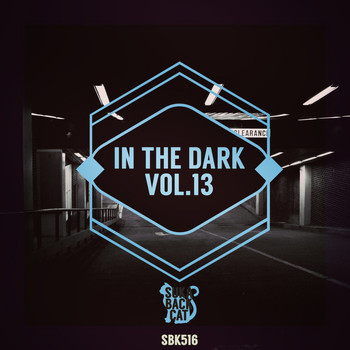 Various Artists - In the Dark, Vol. 13