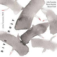 Jitka Šuranská Trio - Divé husy