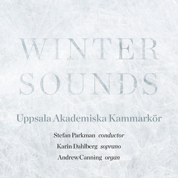 Various Artists - Winter Sounds