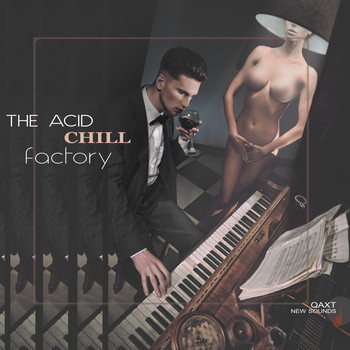 Various Artists - The Acid Chill Factory (QAXT New Sounds)