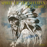 Niall - Spirit of the Shaman - The Calling