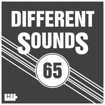 Various Artists - Different Sounds, Vol. 65
