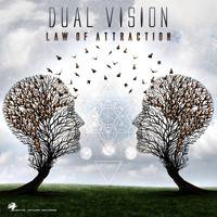 Dual Vision - Law of Attraction