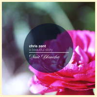 Chris Zent - A Beautiful Story