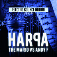 The Mario Vs. Andy F - Harpa