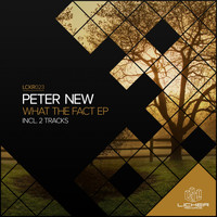 Peter New - What The Fact EP
