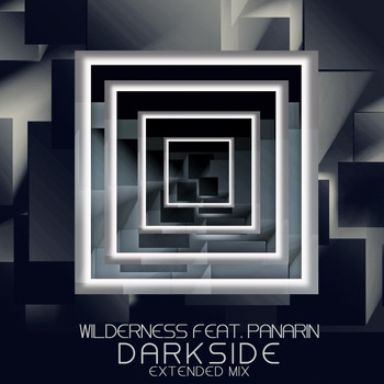 Wilderness feat. Panarin - Darkside (Extended Mix)