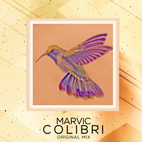 Marvic - Colibri