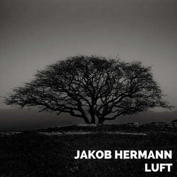 Jakob Hermann - LUFT