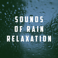 Relaxing Rain Sounds, Sleep Rain and Soothing Sounds - Sounds of Rain Relaxation