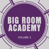 Big Room Academy - Big Room Academy, Vol. 2
