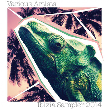 Various Artists - Ibiza Sampler 2014