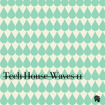 Various Artists - Tech House Waves 2