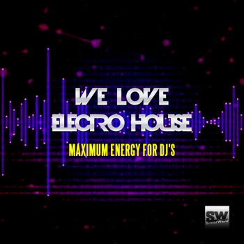 Various Artists - We Love Electro House (Maximum Energy for DJ's)