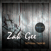 Zak Gee - 1969 House / Selek Lab