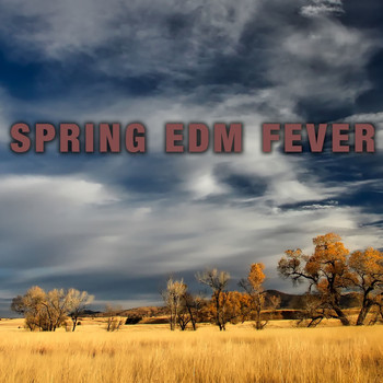 Various Artists - Spring EDM Fever