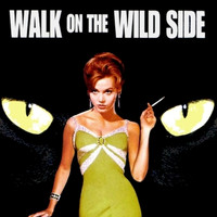 Elmer Bernstein - Walk on the Wild Side (Original Motion Picture Soundtrack)