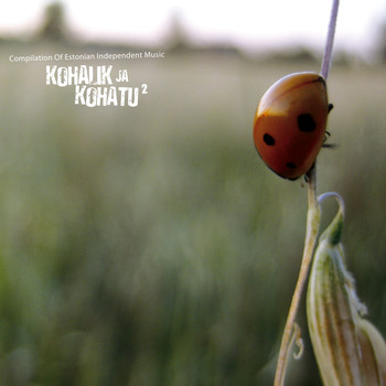 Various Artists - Kohalik Ja Kohatu 2 (Compilation Of Estonian Independent Music)