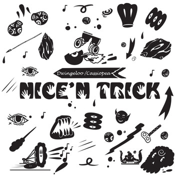 Nice 'N Trick - Dwingeloo / Cassiopea