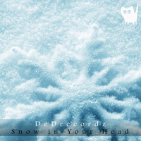 DeDrecordz - Snow In Your Head