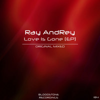 Ray AndRey - Love Is Gone