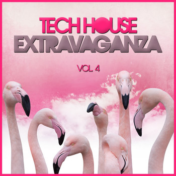Various Artists - Tech House Extravaganza, Vol. 4