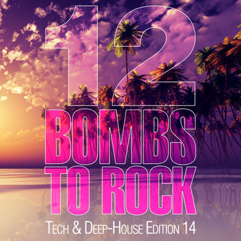 Various Artists - 12 Bombs to Rock - Tech & Deep-House Edition 14