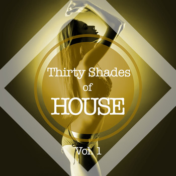 Various Artists - Thirty Shades of House, Vol. 1 (Explicit)