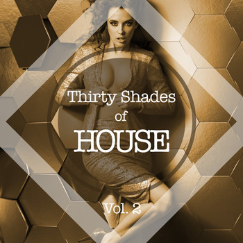 Various Artists - Thirty Shades of House, Vol. 2