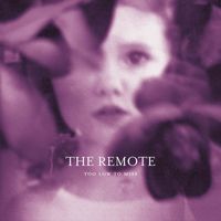 The Remote - Too Low to Miss