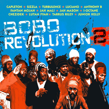 Various Artists - Bobo Revolution 2