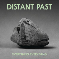 Everything Everything - Distant Past (Alex Metric Remix)