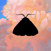 Chairlift - Moth to the Flame (Olga Bell Remix)