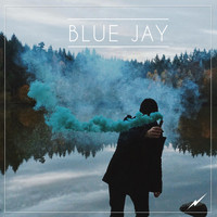 Roy Smith - Blue Jay