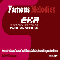 Patrick Seeker - Famous Melodies DJ Tools